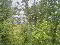 Photo 20 of 30 Knocklochan, Omagh