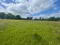 Photo 7 of Land At, Downpatrick Road, Ballynahinch