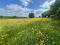 Photo 2 of Land At, Downpatrick Road, Ballynahinch