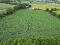 Photo 9 of Annaghone Road, Shankey Road, Stewartstown