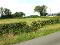 Photo 1 of Site Adjacent To & SE Of 50 Mousetown Road, Coalisland, Dungannon