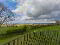 Photo 16 of Tullyard Road, Dromore