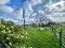 Photo 12 of 6 Crockatore Road, Newtownstewart, Omagh