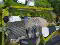 Photo 61 of 61 The Dales, Cookstown