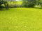 Photo 35 of 90 Kildrum Road, Dromore