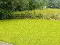 Photo 36 of 90 Kildrum Road, Dromore
