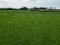 Photo 8 of Lands At, Mullalelish Road, Ahorey, Portadown