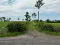 Photo 12 of Lands At, Mullalelish Road, Ahorey, Portadown