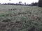 Photo 3 of Eshbane, Lisnaskea