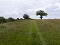 Photo 13 of Building Site Adjacent To, 26 Tobercorran Road, Downpatrick