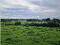 Photo 10 of Land, Between 23-29 Myra Road, Downpatrick