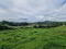 Photo 6 of Land, Between 23-29 Myra Road, Downpatrick