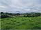 Photo 11 of Land, Between 23-29 Myra Road, Downpatrick