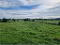 Photo 9 of Land, Between 23-29 Myra Road, Downpatrick