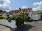 Photo 4 of 6 Mourne View Road, Newcastle