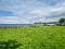 Photo 1 of Coast Road, Larne
