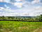 Photo 7 of 406 Old Glenarm Road, Larne