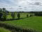 Photo 58 of 41 Culnafay Road, Toomebridge