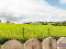 Photo 35 of 84 Clabby Road, Fivemiletown