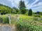Photo 11 of 98 Murley Road, Fivemiletown