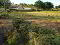 Photo 4 of North Of, 279 Longland Road, Claudy