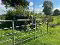 Photo 8 of Drumgoon Road, Maguiresbridge