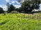 Photo 10 of Drumgoon Road, Maguiresbridge