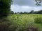 Photo 6 of 10 Bowmans Road, Magherafelt