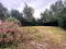 Photo 19 of 96 Gortgole Road, Portglenone, Ballymena