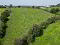 Photo 7 of Lands At Moyboy Road, Pomeroy