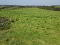 Photo 19 of Lands At Moyboy Road, Pomeroy