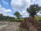Photo 4 of Kilmacbrack, Newtownbutler