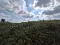 Photo 5 of Kilmacbrack, Newtownbutler