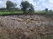 Photo 10 of Kilmacbrack, Newtownbutler
