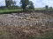 Photo 11 of Kilmacbrack, Newtownbutler