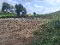 Photo 12 of Kilmacbrack, Newtownbutler