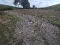 Photo 1 of Kilmacbrack, Newtownbutler