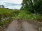 Photo 10 of Site 150 N Of 21, Tullyallen Road, Killymaddy, Dungannon