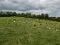Photo 12 of Roughan Road, Stewartstown
