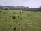 Photo 1 of Lands At Glen Road, Tempo