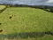 Photo 9 of Brackaghlislea Road, Draperstown