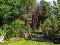Photo 48 of 4 Silverbirch Crescent, Bangor