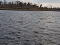 Photo 8 of Inishturk Island, Upper Lough Erne, Lisnaskea