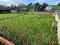 Photo 14 of 20 Clogh Road, Rosslea