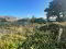 Photo 5 of 21 Kildare Street, Ardglass, Downpatrick