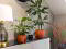 Photo 19 of Apartment 3 14 Highgrove Meadows, Belfast
