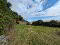 Photo 27 of 1 Coastguard Cottages, Glenarm, Ballymena