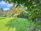 Photo 6 of 31 Dunmullan Road, Omagh