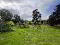 Photo 2 of 25m South Of No, 37 Derrygarve Park, Castledawson, Magherafelt