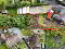 Photo 37 of 37 Upper Strabane Road, Castlederg